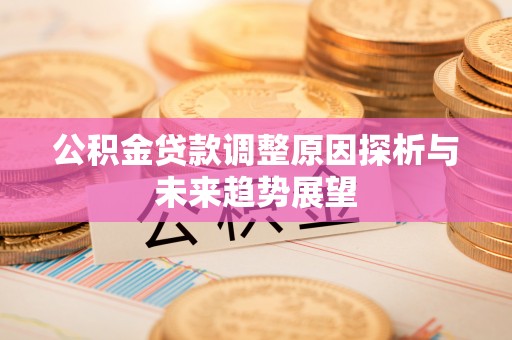 莲湖公积金贷款调整原因探析与未来趋势展望