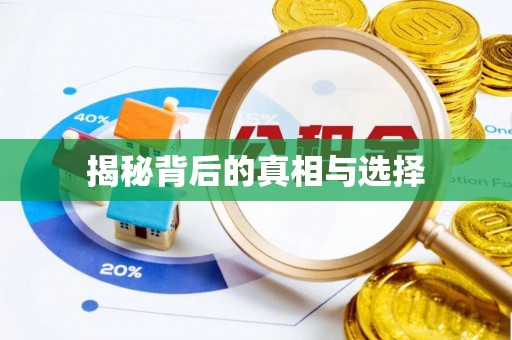 莲湖揭秘背后的真相与选择