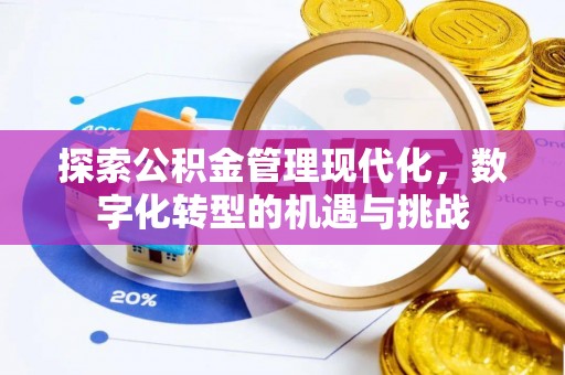 莲湖探索公积金管理现代化，数字化转型的机遇与挑战