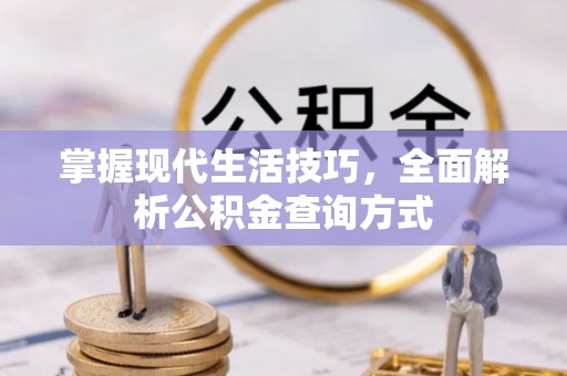 莲湖掌握现代生活技巧，全面解析公积金查询方式
