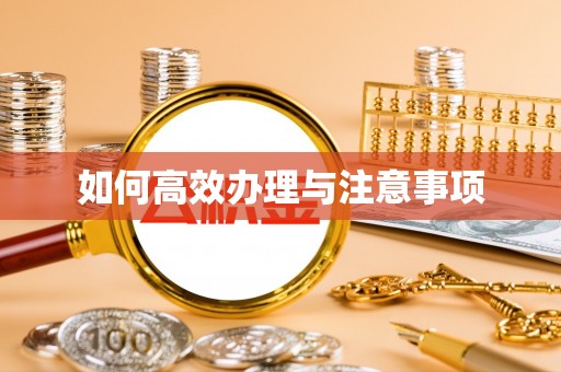莲湖如何高效办理与注意事项