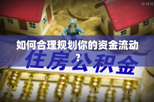 莲湖如何合理规划你的资金流动？