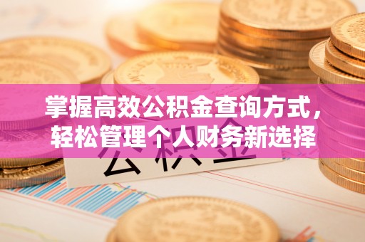 莲湖掌握高效公积金查询方式，轻松管理个人财务新选择