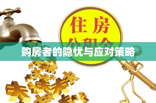 莲湖购房者的隐忧与应对策略
