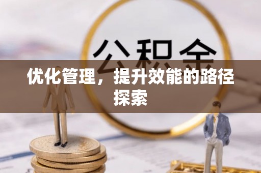 莲湖优化管理，提升效能的路径探索