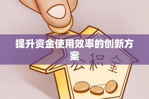 莲湖提升资金使用效率的创新方案