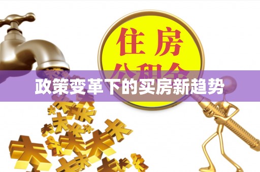 莲湖政策变革下的买房新趋势