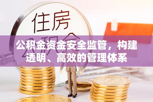 莲湖公积金资金安全监管，构建透明、高效的管理体系