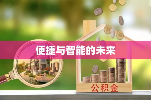 莲湖便捷与智能的未来