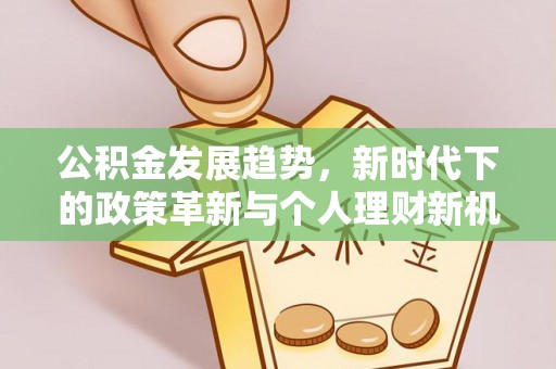 莲湖公积金发展趋势，新时代下的政策革新与个人理财新机遇