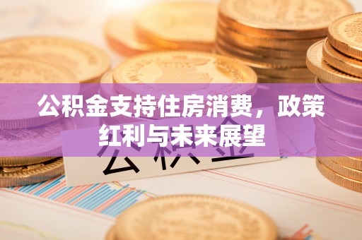 莲湖公积金支持住房消费，政策红利与未来展望
