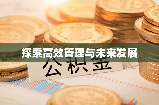 莲湖探索高效管理与未来发展