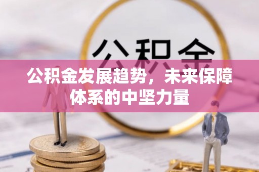 莲湖公积金发展趋势，未来保障体系的中坚力量