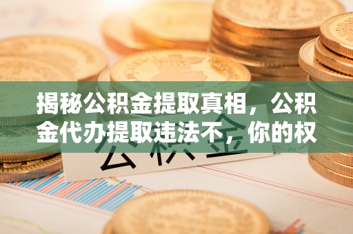 莲湖揭秘公积金提取真相，公积金代办提取违法不，你的权益如何保障？