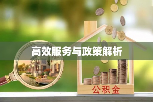 莲湖高效服务与政策解析