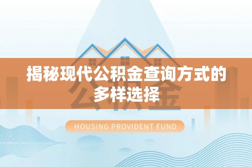 莲湖揭秘现代公积金查询方式的多样选择