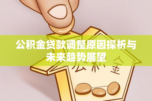 莲湖公积金贷款调整原因探析与未来趋势展望