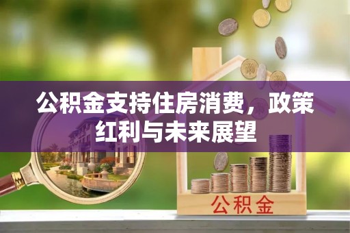 莲湖公积金支持住房消费，政策红利与未来展望