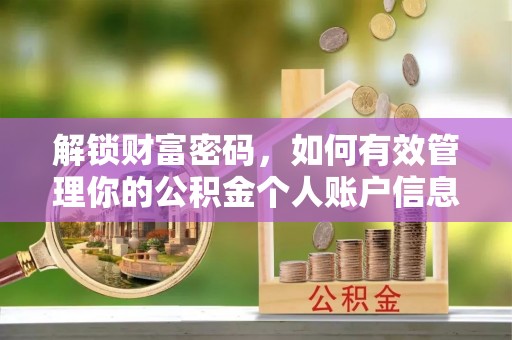 莲湖解锁财富密码，如何有效管理你的公积金个人账户信息