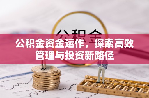 莲湖公积金资金运作，探索高效管理与投资新路径