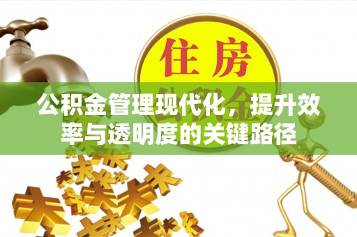 莲湖公积金管理现代化，提升效率与透明度的关键路径