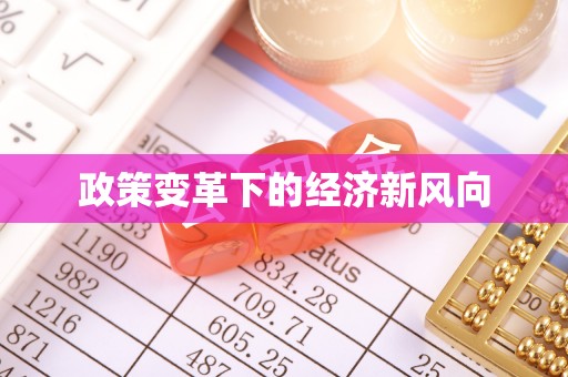 莲湖政策变革下的经济新风向