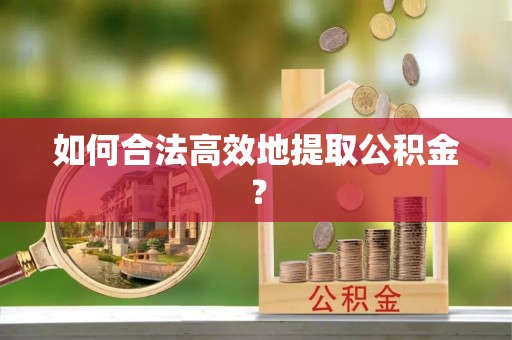 莲湖如何合法高效地提取公积金？