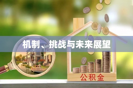 莲湖机制、挑战与未来展望